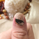 Nasi Lemak